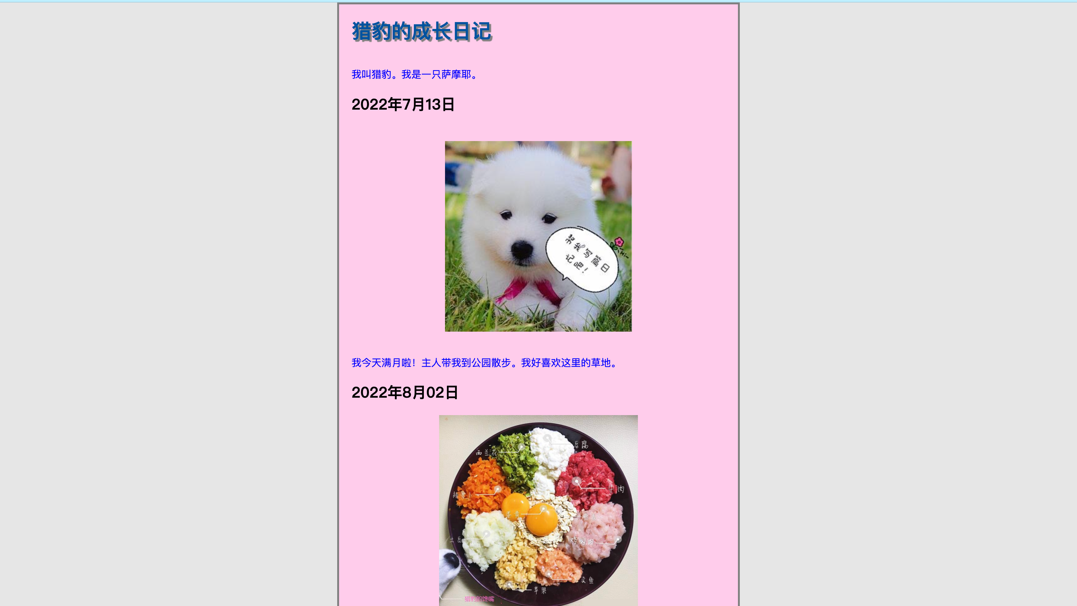 image-20220804233808070