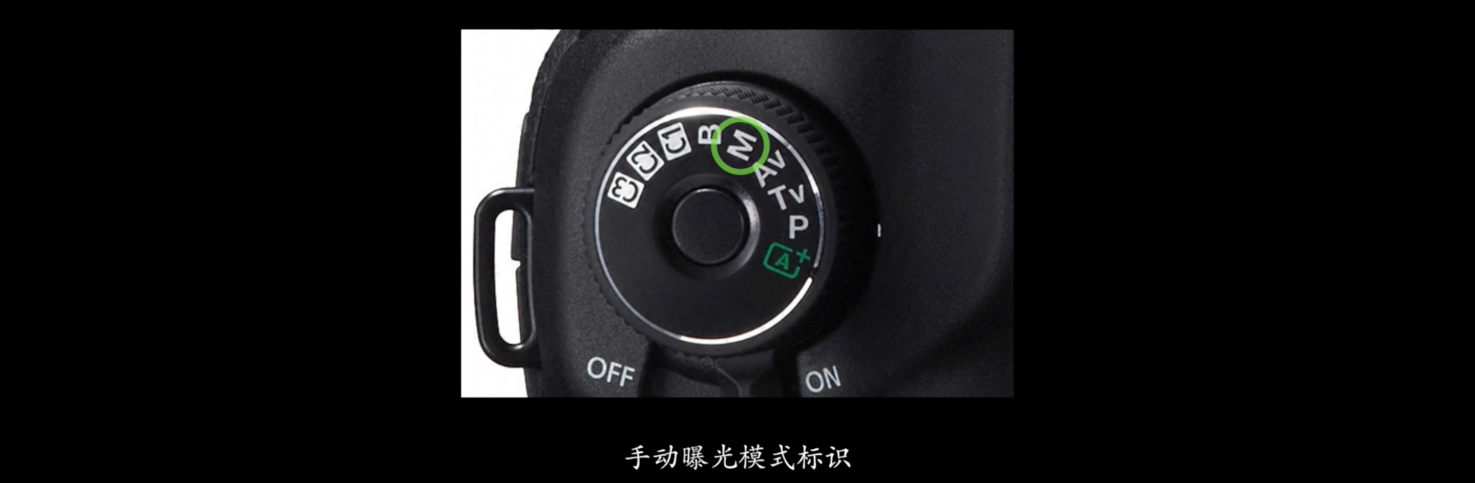 image-20220728131525819