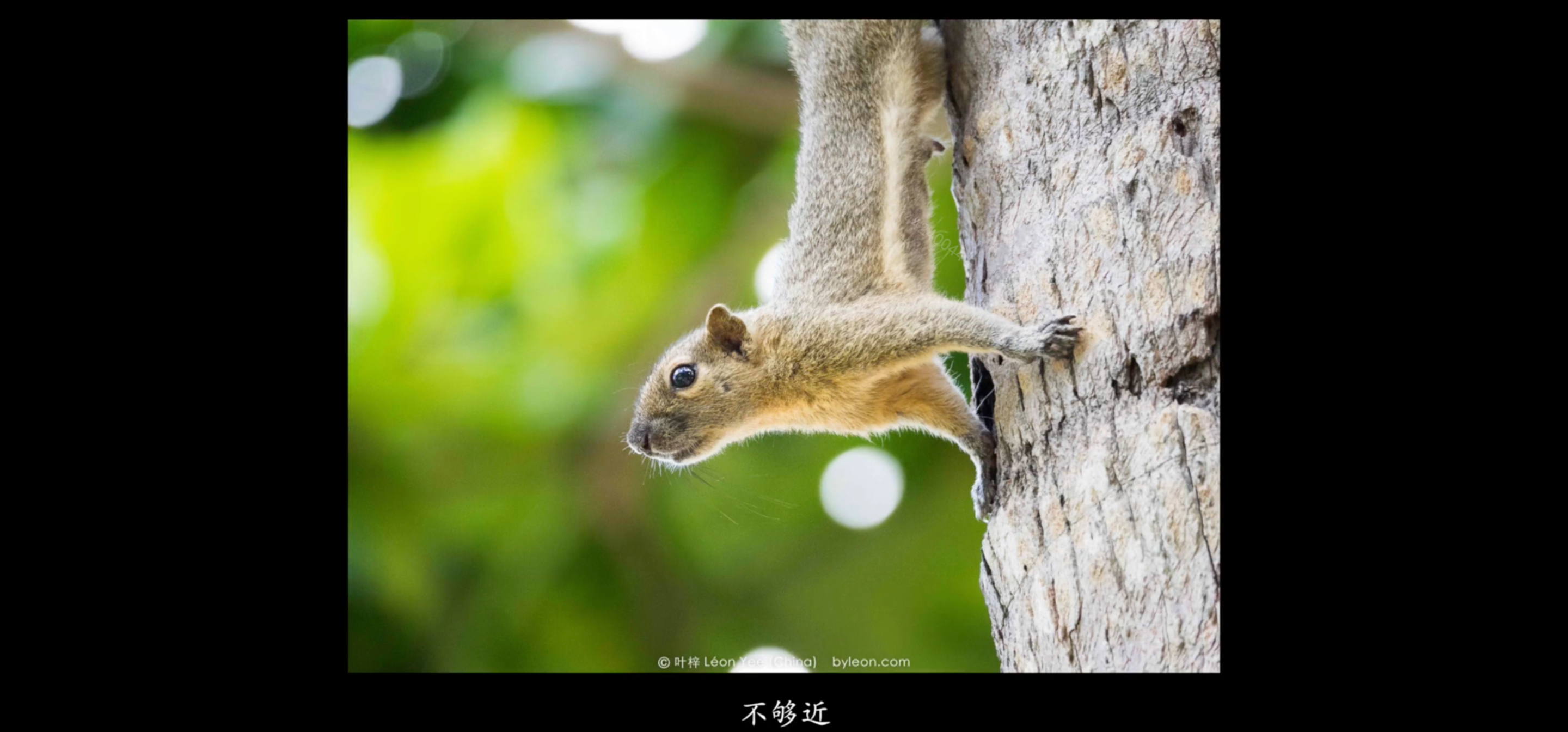 image-20220718160812043