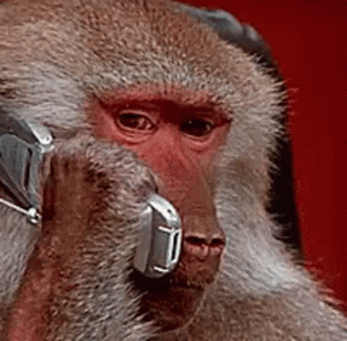 Even Joe the Monkey uses VoiceNotes… What’s Stopping You ??