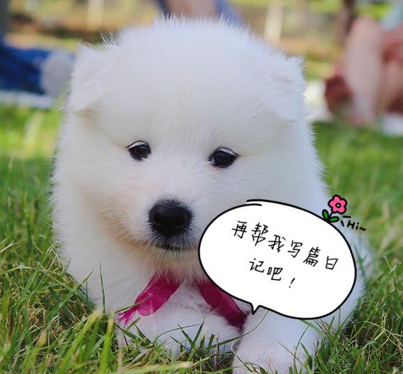 HTML实战