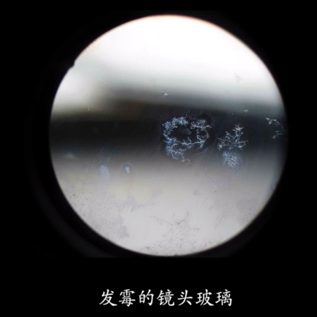 image-20220907134444574