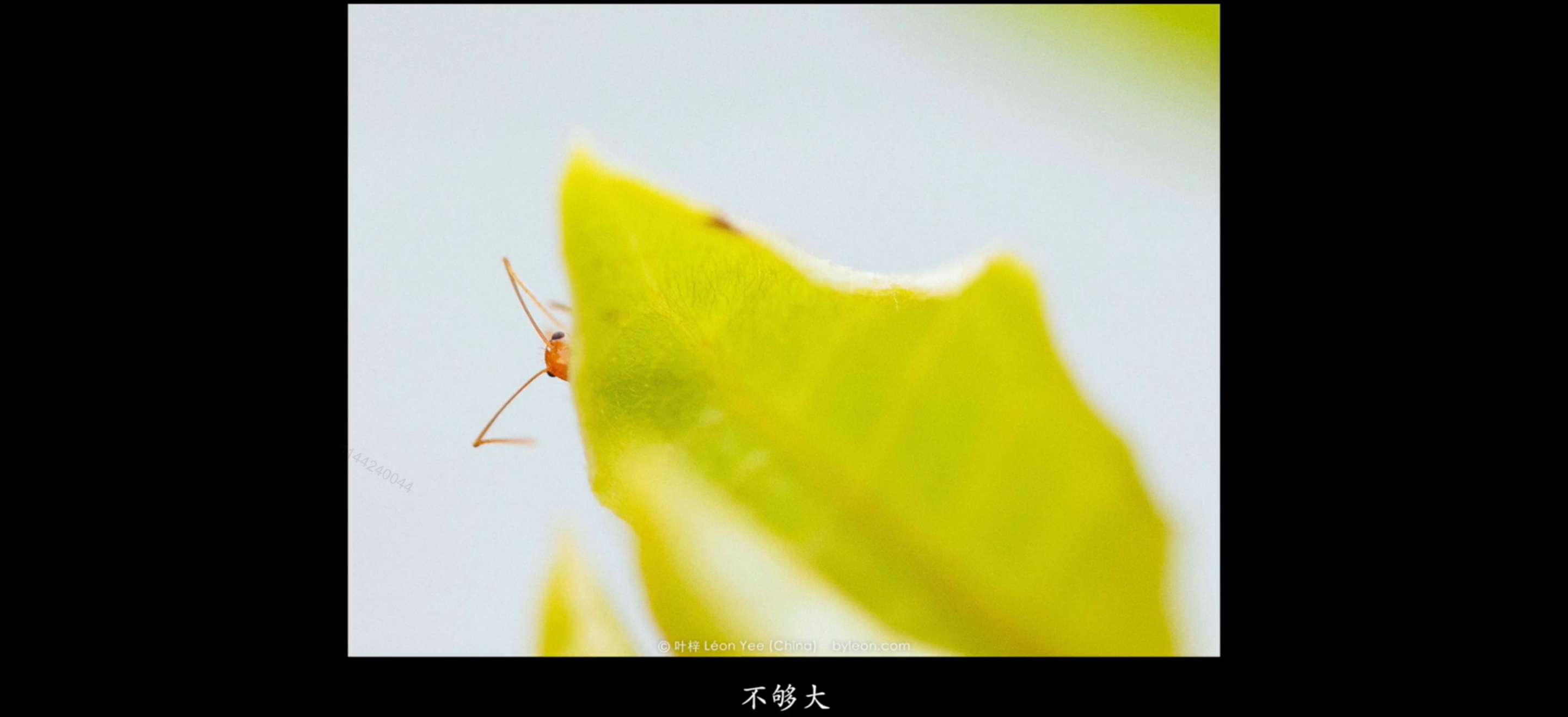 image-20220718160543623