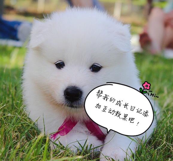 JS实战