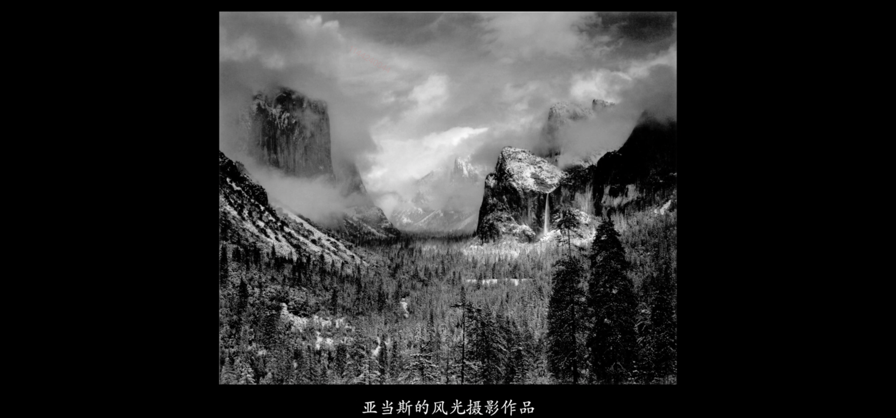 image-20220718191504029