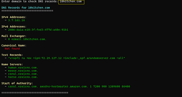 DNSFetcher Script Output — Screenshot By Author