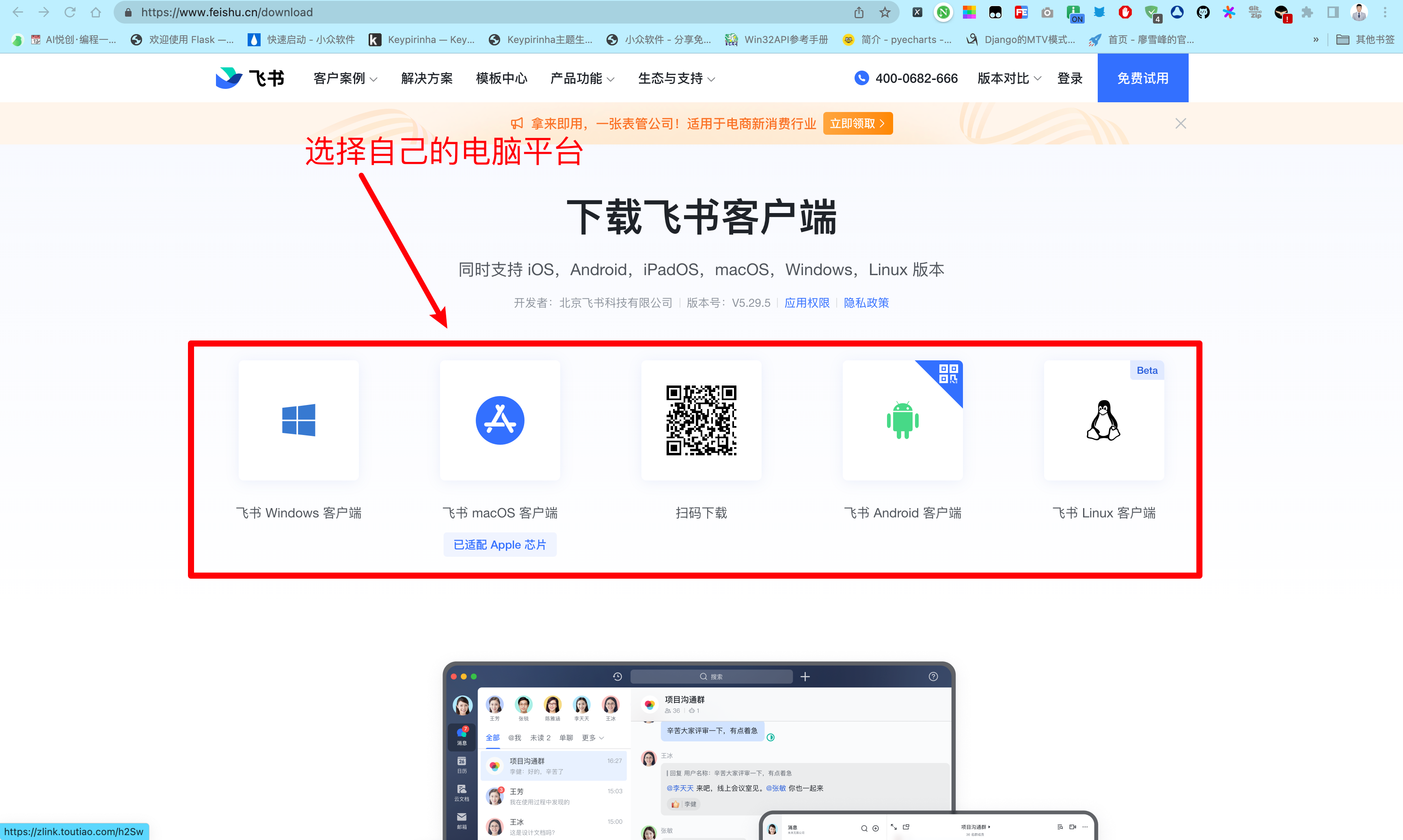 飞书