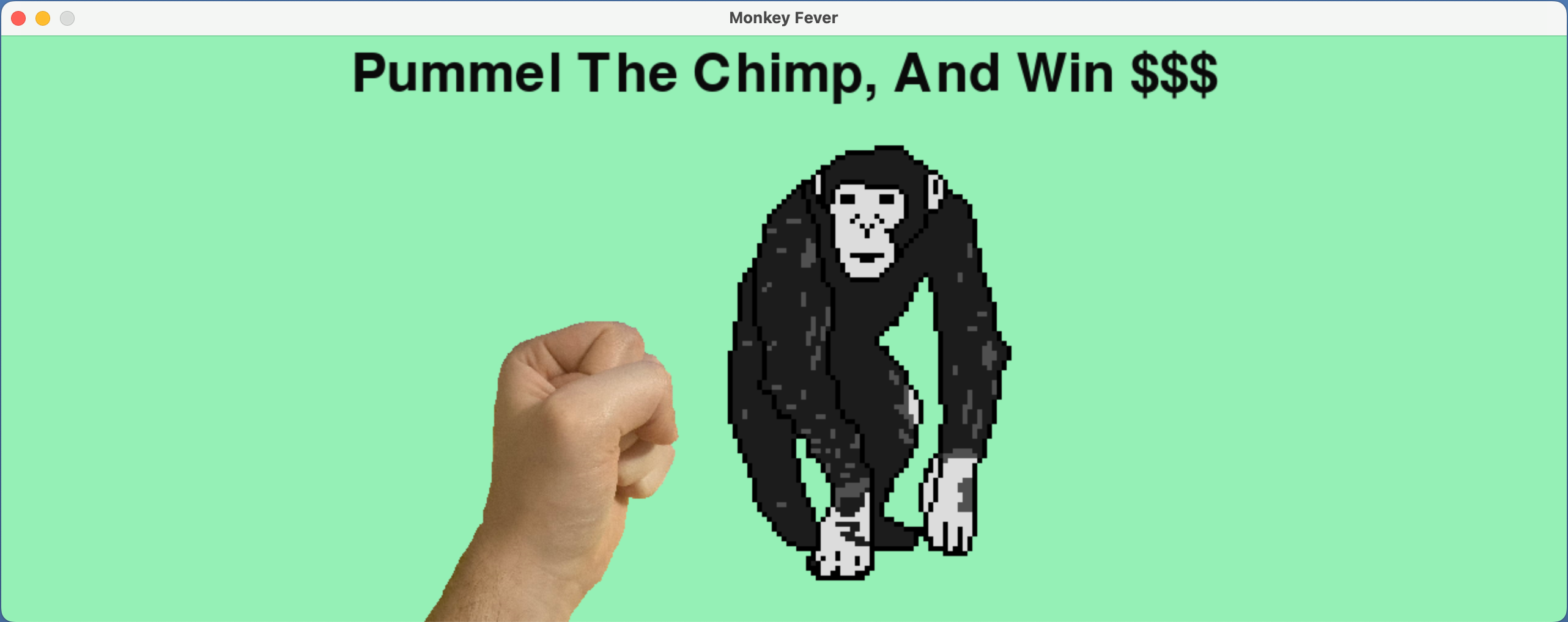 chimp