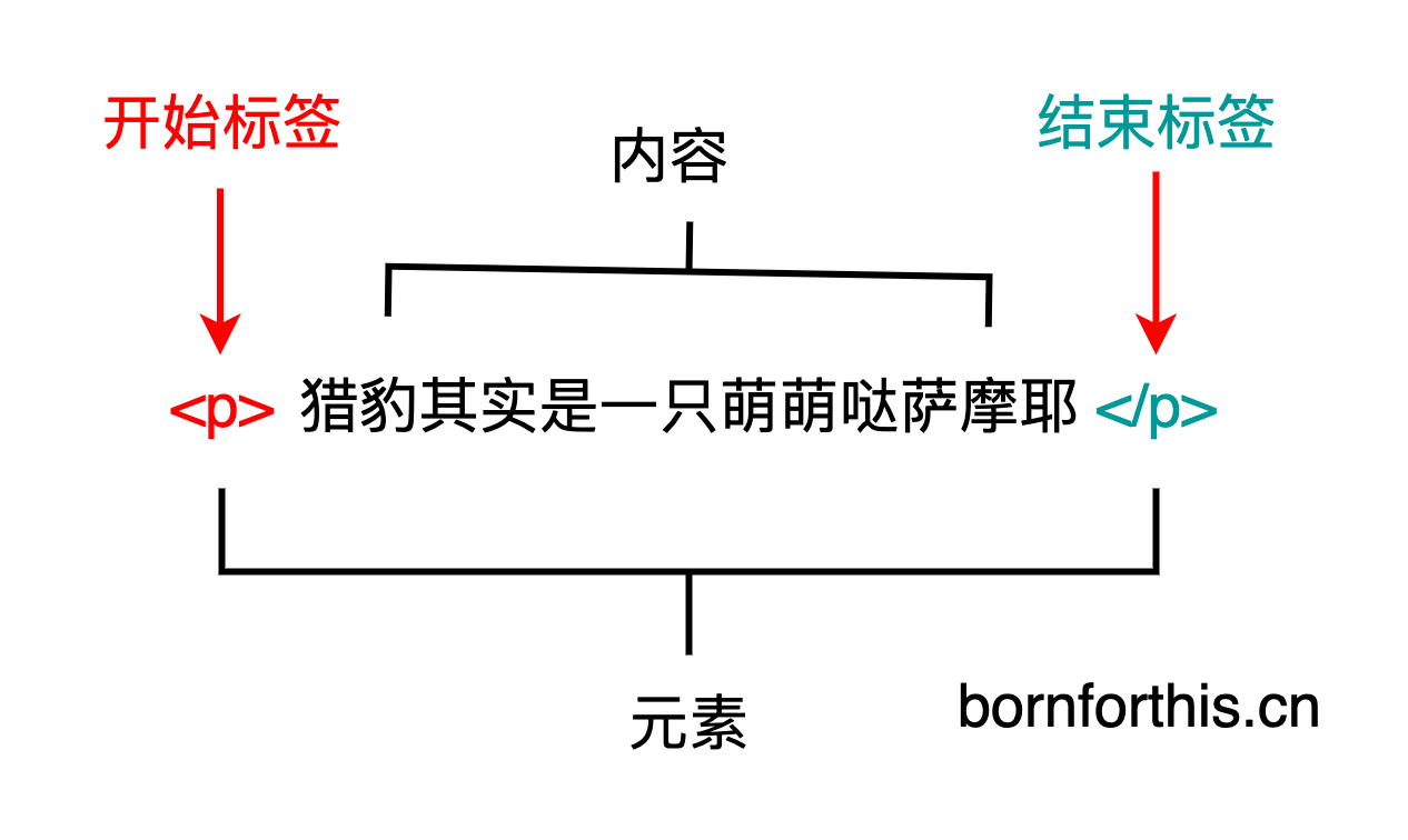 HTML概述