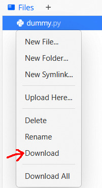 Download button location
