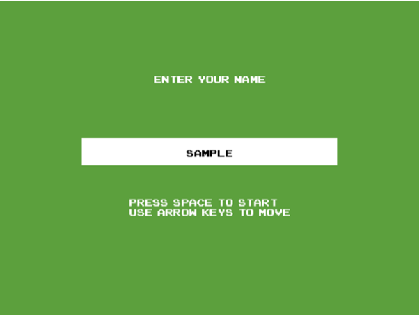 (b) Player Information Screen