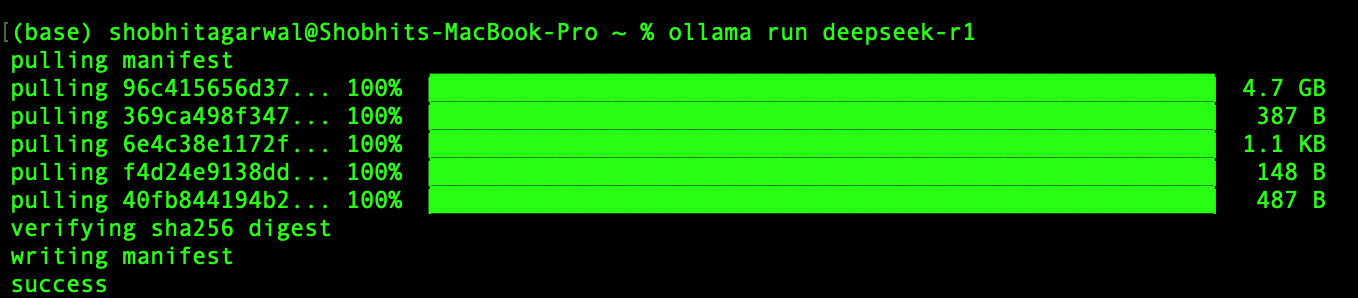 Image: Downloading and Installating DeepSeek-R1 7B Model in local