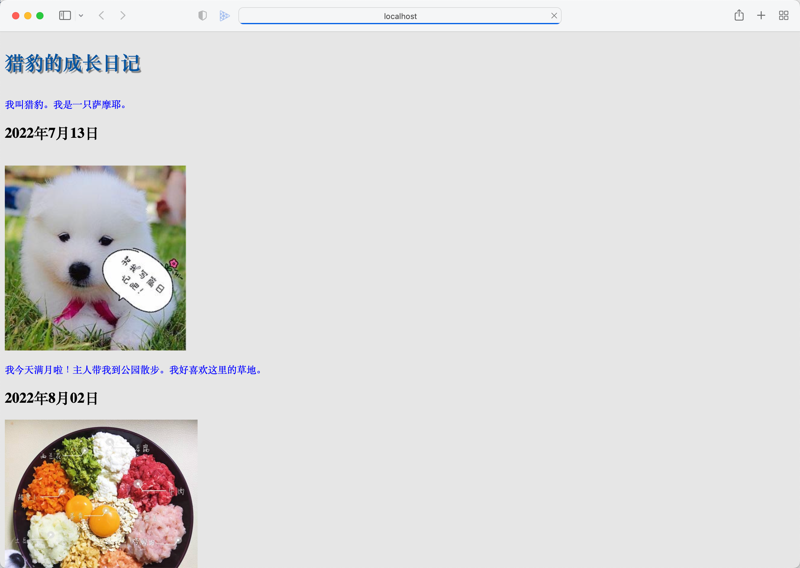 image-20220804211456290