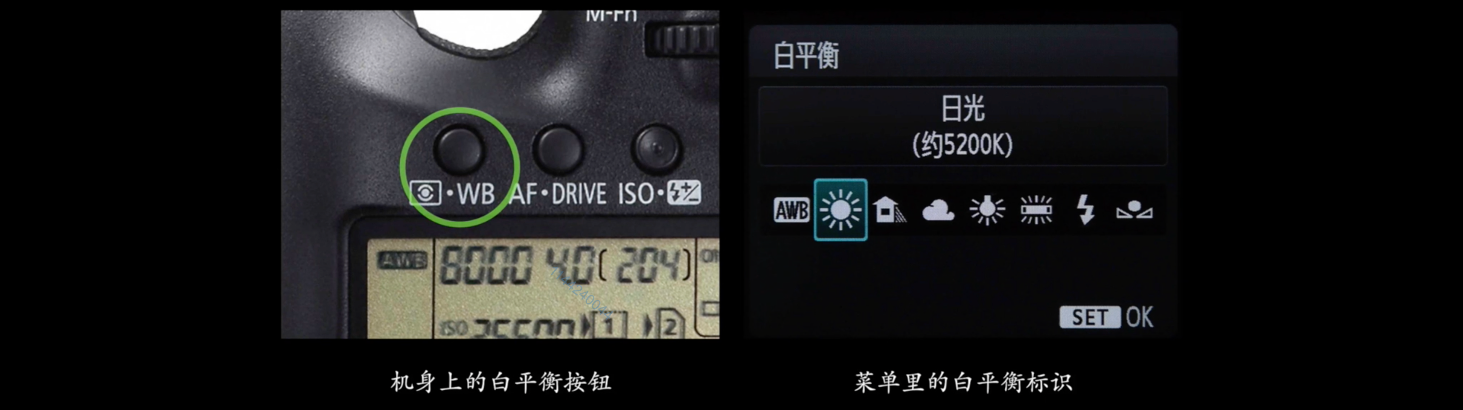 image-20220728181006559