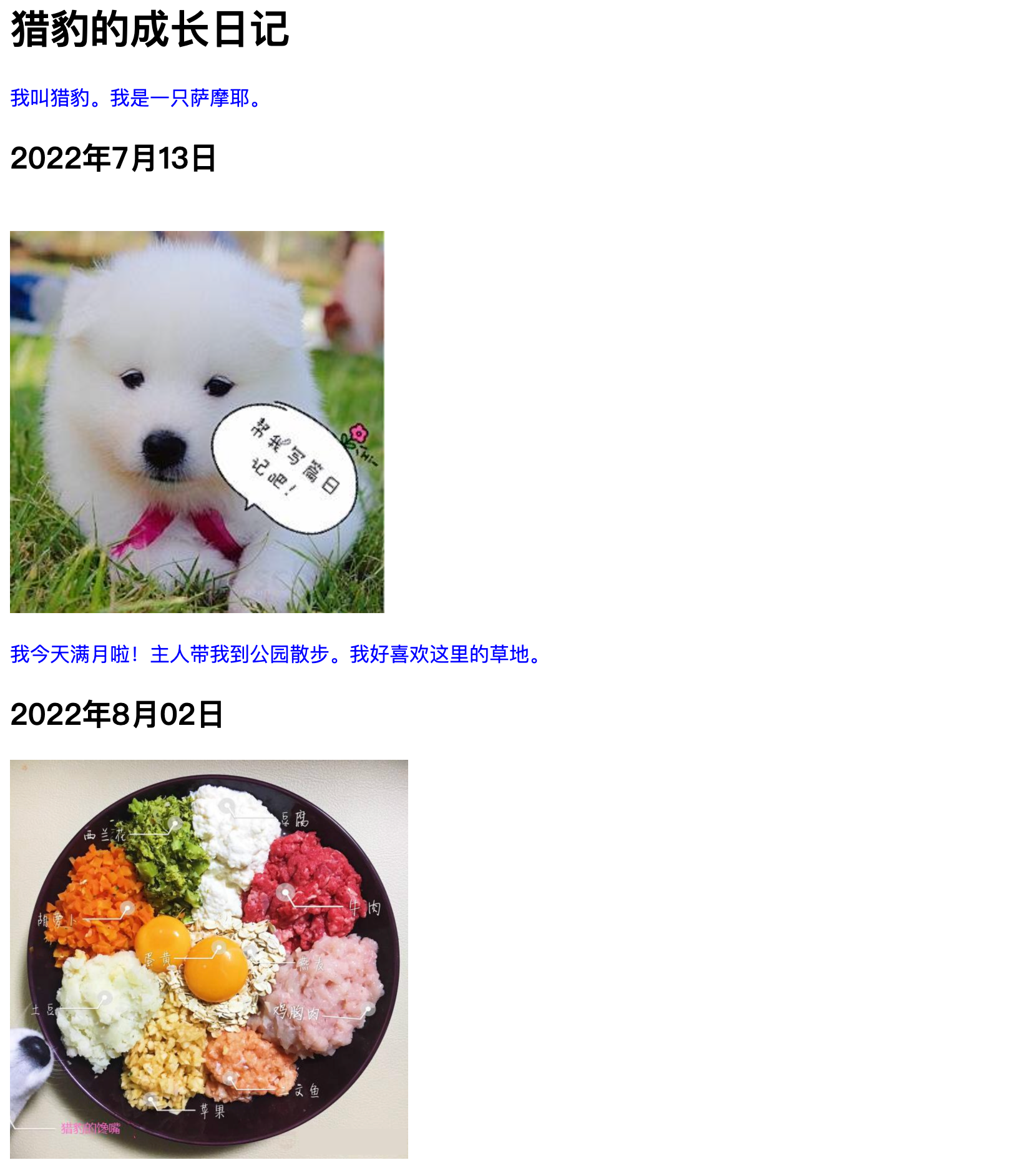 image-20220804210223138