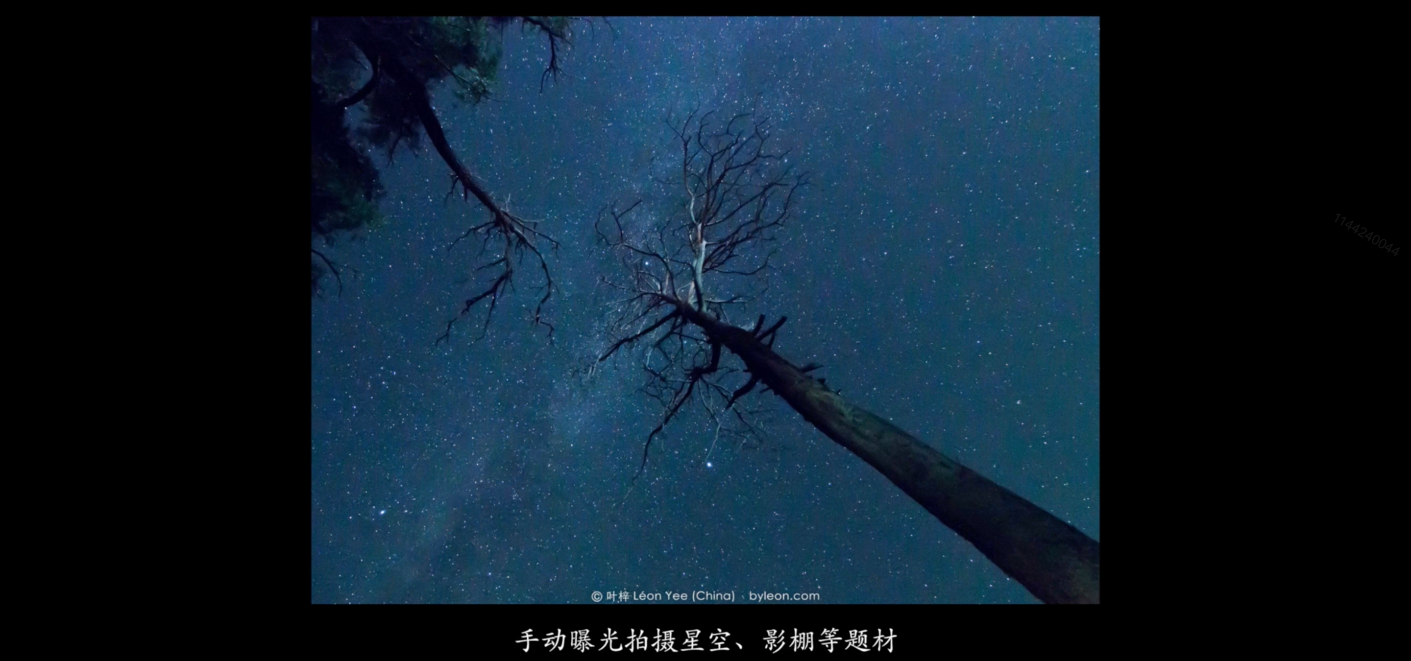 image-20220728131610842