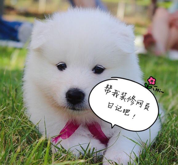 CSS实战